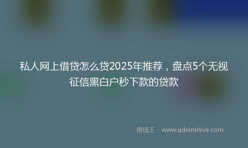 私人网上借贷怎么贷2025年推荐，盘点5个无视征信黑白户秒下款的贷款