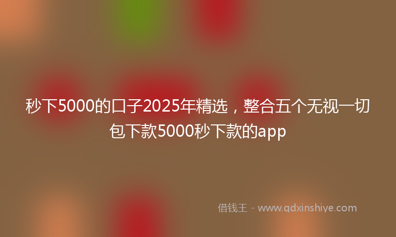 秒下5000的口子2025年精选，整合五个无视一切包下款5000秒下款的app