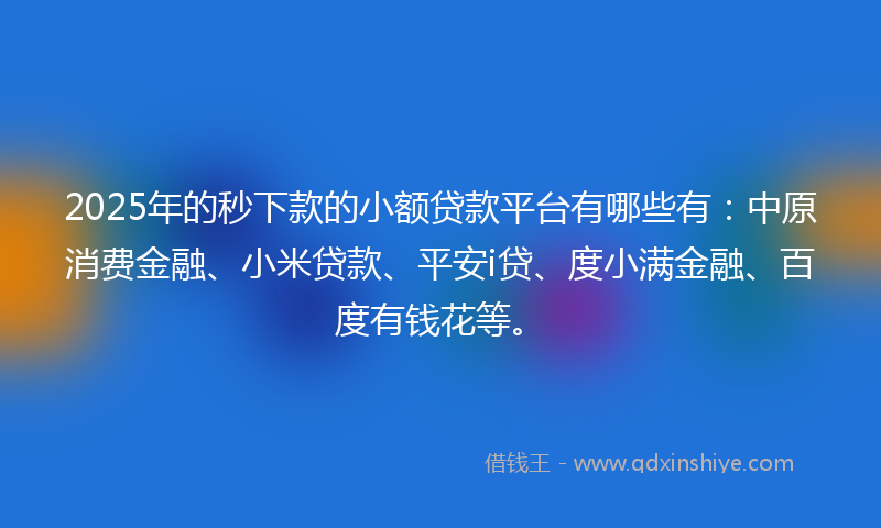 2025年的秒下款的小额贷款平台有哪些有：中原消费金融、小米贷款、平安i贷、度小满金融、百度有钱花等。