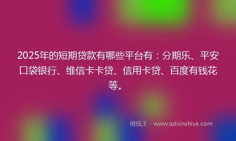 2025年的短期贷款有哪些平台有：分期乐、平安口袋银行、维信卡卡贷、信用卡贷、百度有钱花等。