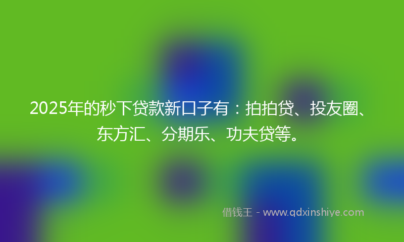 2025年的秒下贷款新口子有：拍拍贷、投友圈、东方汇、分期乐、功夫贷等。