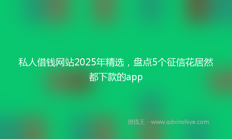 私人借钱网站2025年精选,盘点5个征信花居然都下款的app