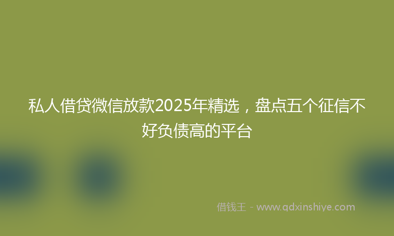 私人借贷微信放款2025年精选，盘点五个征信不好负债高的平台