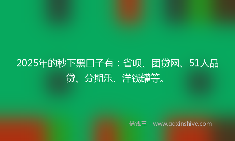 2025年的秒下黑口子有：省呗、团贷网、51人品贷、分期乐、洋钱罐等。
