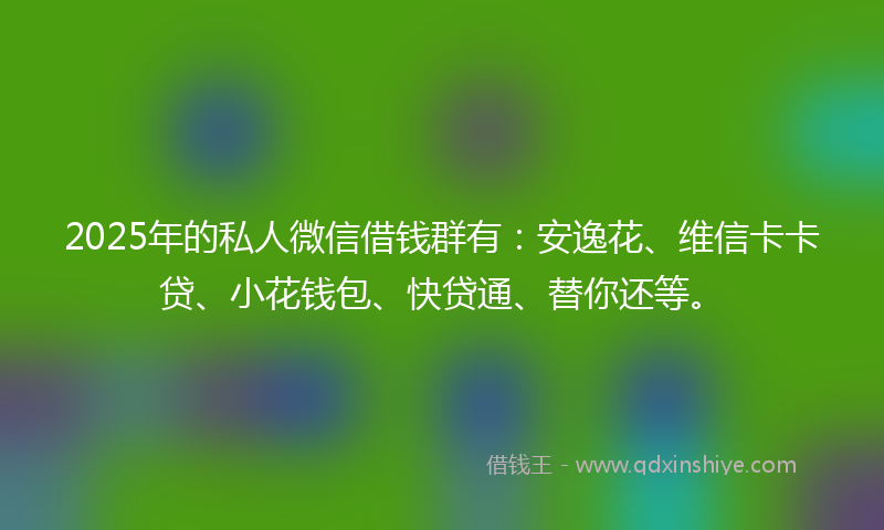 2025年的私人微信借钱群有：安逸花、维信卡卡贷、小花钱包、快贷通、替你还等。