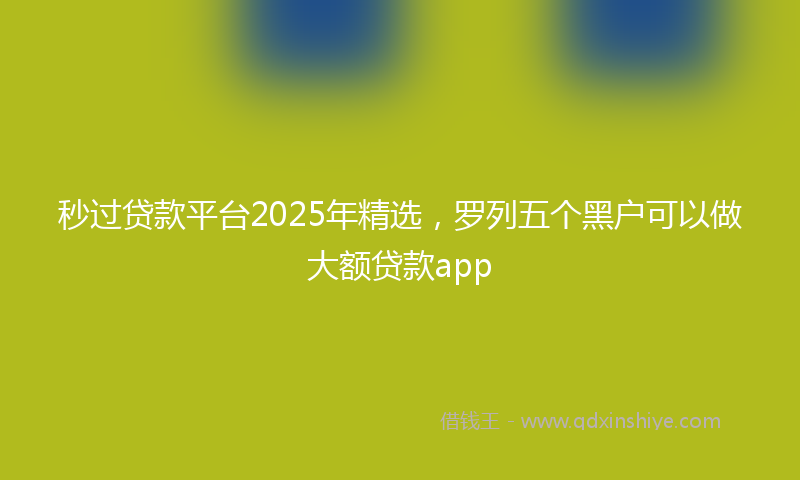 秒过贷款平台2025年精选，罗列五个黑户可以做大额贷款app