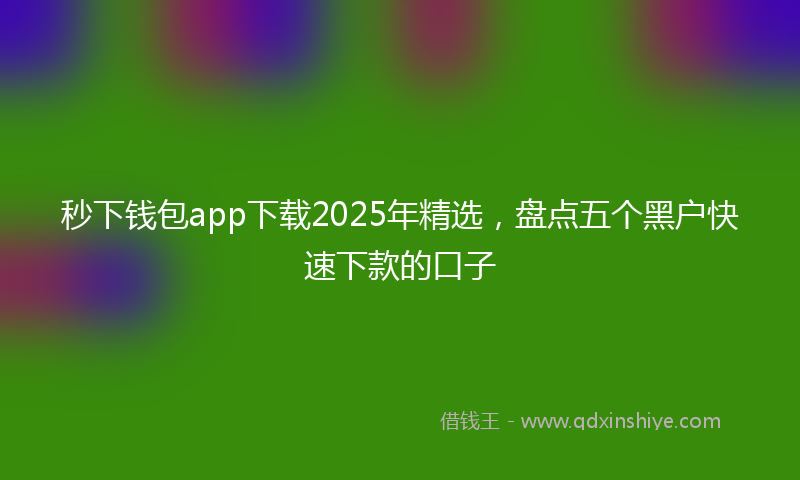 秒下钱包app下载2025年精选，盘点五个黑户快速下款的口子