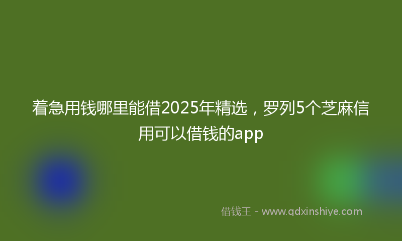 着急用钱哪里能借2025年精选，罗列5个芝麻信用可以借钱的app