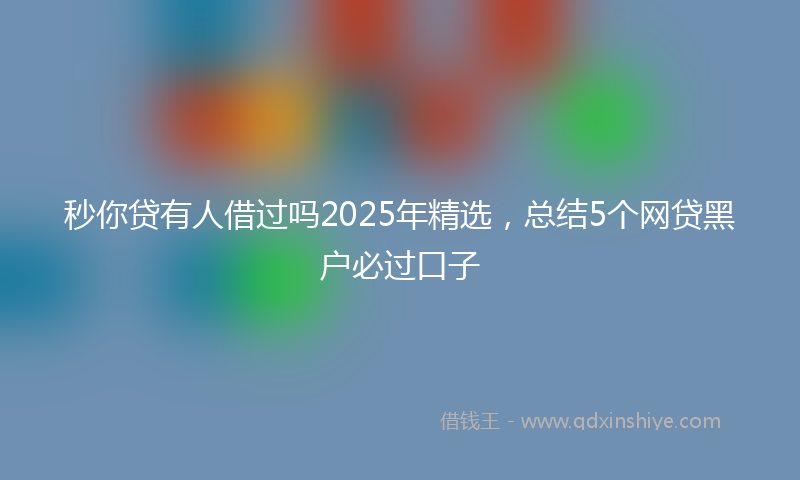 秒你贷有人借过吗2025年精选，总结5个网贷黑户必过口子