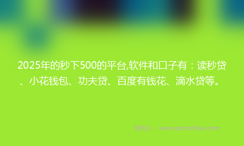 2025年的秒下500的平台,软件和口子有：读秒贷、小花钱包、功夫贷、百度有钱花、滴水贷等。