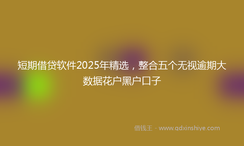 短期借贷软件2025年精选，整合五个无视逾期大数据花户黑户口子