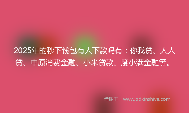 2025年的秒下钱包有人下款吗有：你我贷、人人贷、中原消费金融、小米贷款、度小满金融等。