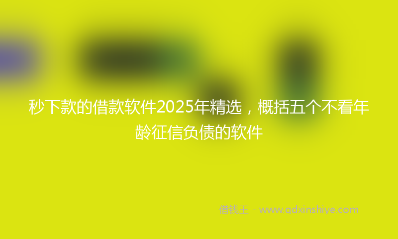秒下款的借款软件2025年精选，概括五个不看年龄征信负债的软件