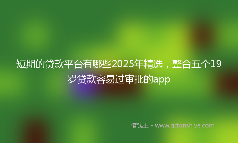 短期的贷款平台有哪些2025年精选，整合五个19岁贷款容易过审批的app