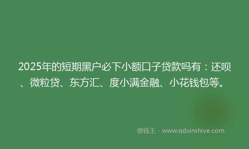 2025年的短期黑户必下小额口子贷款吗有：还呗、微粒贷、东方汇、度小满金融、小花钱包等。