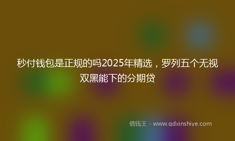 秒付钱包是正规的吗2025年精选，罗列五个无视双黑能下的分期贷