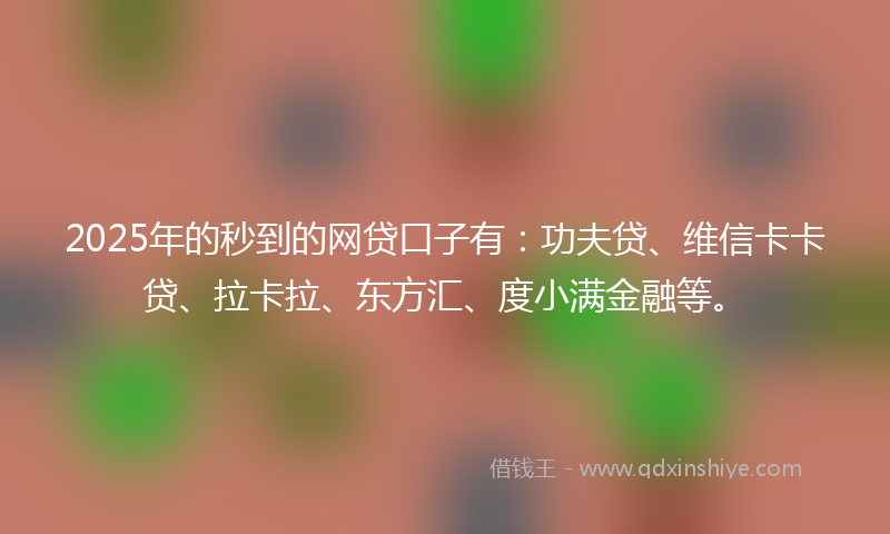 2025年的秒到的网贷口子有:功夫贷、维信卡卡贷、拉卡拉、东方汇、度小满金融等。