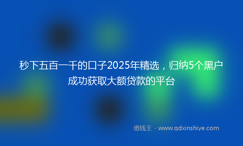秒下五百一千的口子2025年精选，归纳5个黑户成功获取大额贷款的平台