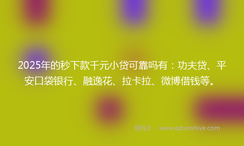 2025年的秒下款千元小贷可靠吗有：功夫贷、平安口袋银行、融逸花、拉卡拉、微博借钱等。