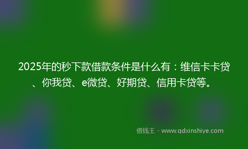 2025年的秒下款借款条件是什么有：维信卡卡贷、你我贷、e微贷、好期贷、信用卡贷等。