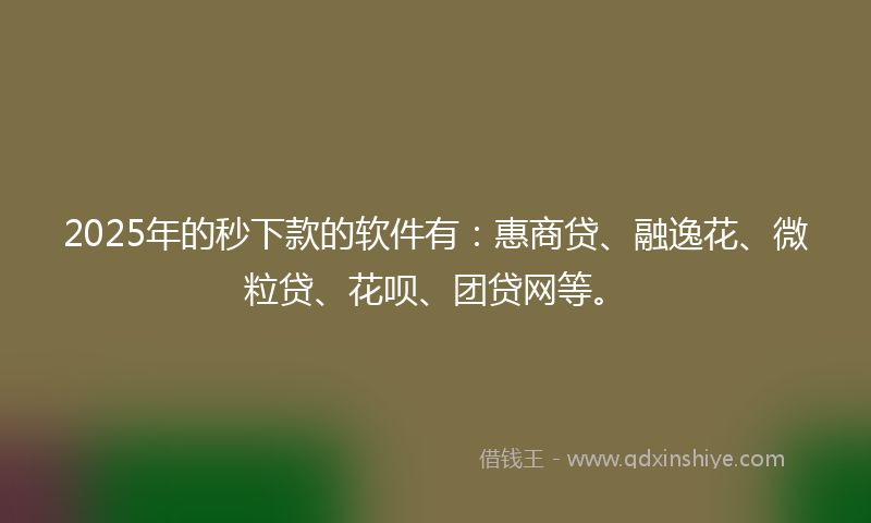 2025年的秒下款的软件有：惠商贷、融逸花、微粒贷、花呗、团贷网等。