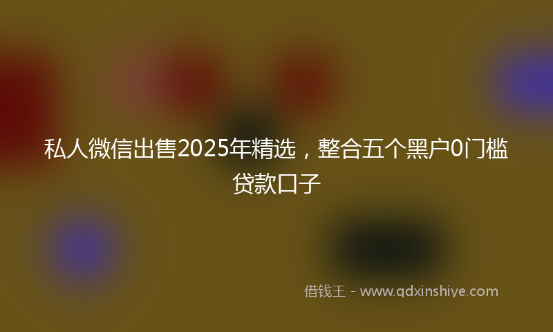 私人微信出售2025年精选，整合五个黑户0门槛贷款口子