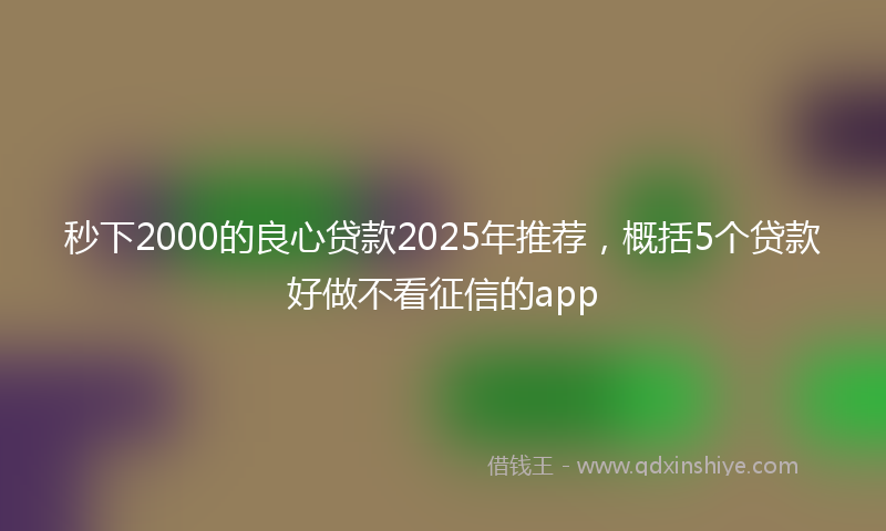 秒下2000的良心贷款2025年推荐，概括5个贷款好做不看征信的app