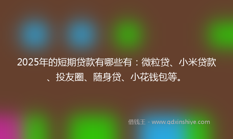 2025年的短期贷款有哪些有:微粒贷、小米贷款、投友圈、随身贷、小花钱包等。