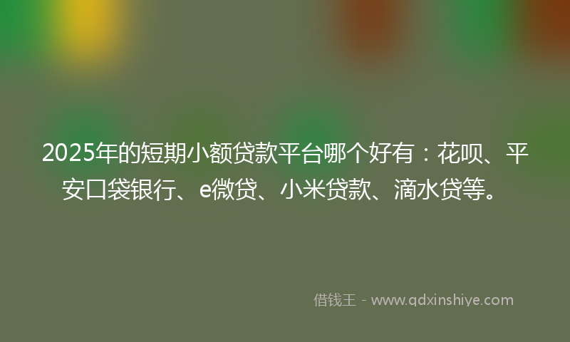 2025年的短期小额贷款平台哪个好有：花呗、平安口袋银行、e微贷、小米贷款、滴水贷等。