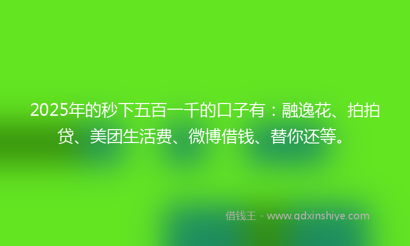 2025年的秒下五百一千的口子有：融逸花、拍拍贷、美团生活费、微博借钱、替你还等。