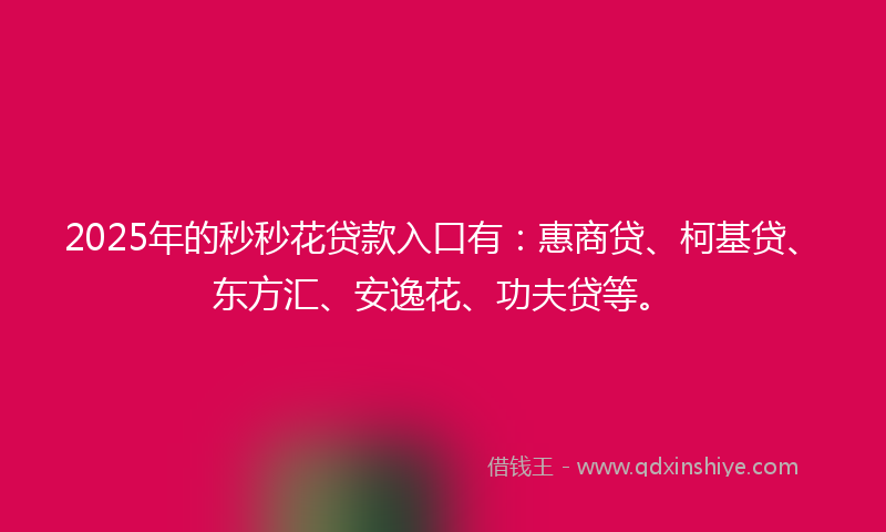 2025年的秒秒花贷款入口有：惠商贷、柯基贷、东方汇、安逸花、功夫贷等。
