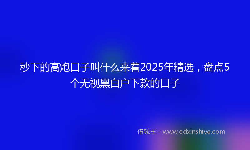 秒下的高炮口子叫什么来着2025年精选，盘点5个无视黑白户下款的口子