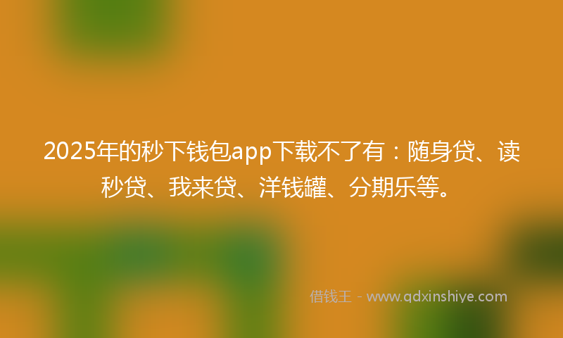 2025年的秒下钱包app下载不了有：随身贷、读秒贷、我来贷、洋钱罐、分期乐等。