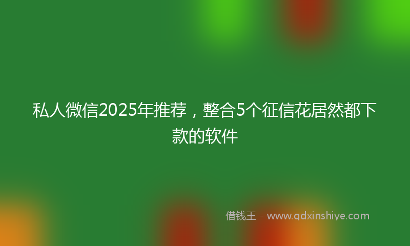 私人微信2025年推荐,整合5个征信花居然都下款的软件