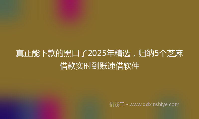 真正能下款的黑口子2025年精选，归纳5个芝麻借款实时到账速借软件