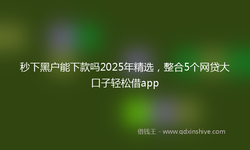 秒下黑户能下款吗2025年精选，整合5个网贷大口子轻松借app