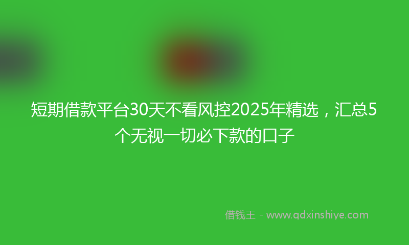 短期借款平台30天不看风控2025年精选，汇总5个无视一切必下款的口子