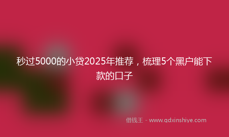 秒过5000的小贷2025年推荐，梳理5个黑户能下款的口子