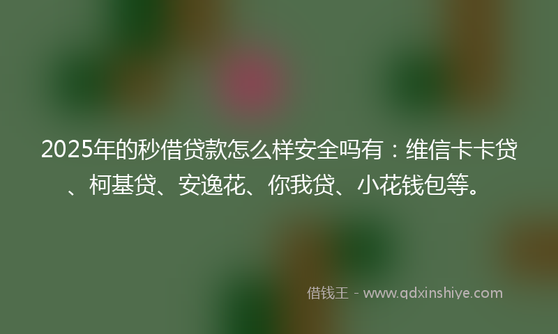 2025年的秒借贷款怎么样安全吗有：维信卡卡贷、柯基贷、安逸花、你我贷、小花钱包等。