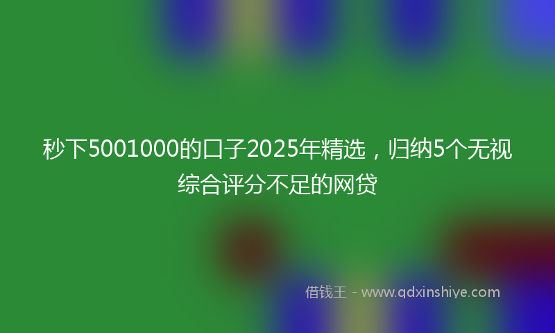 秒下5001000的口子2025年精选，归纳5个无视综合评分不足的网贷