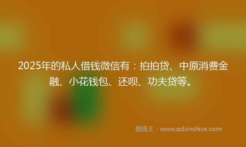 2025年的私人借钱微信有：拍拍贷、中原消费金融、小花钱包、还呗、功夫贷等。