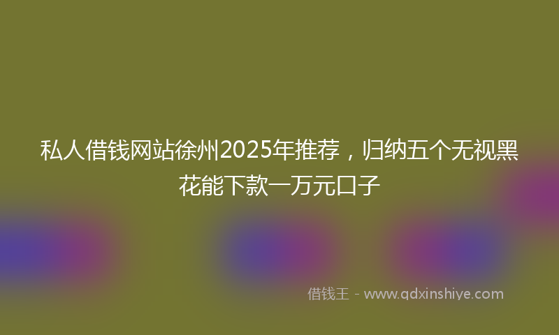 私人借钱网站徐州2025年推荐，归纳五个无视黑花能下款一万元口子
