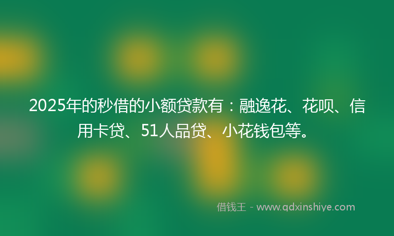 2025年的秒借的小额贷款有：融逸花、花呗、信用卡贷、51人品贷、小花钱包等。