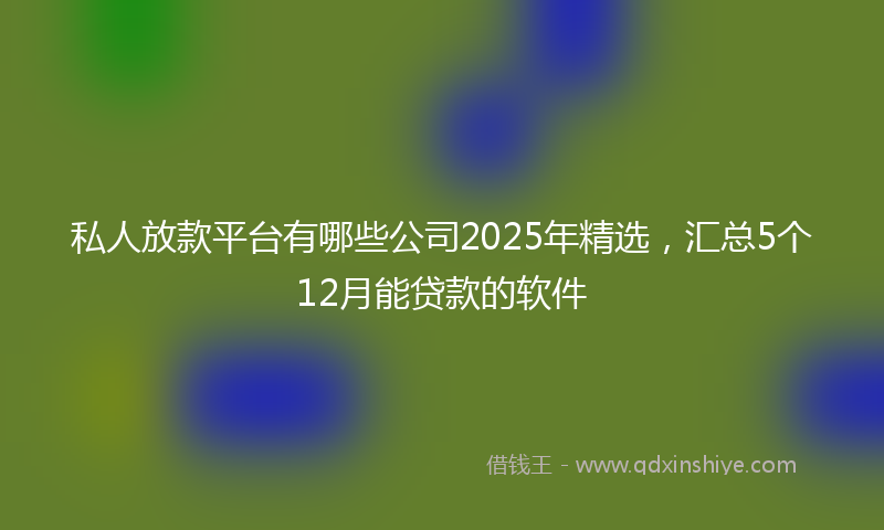 私人放款平台有哪些公司2025年精选，汇总5个12月能贷款的软件