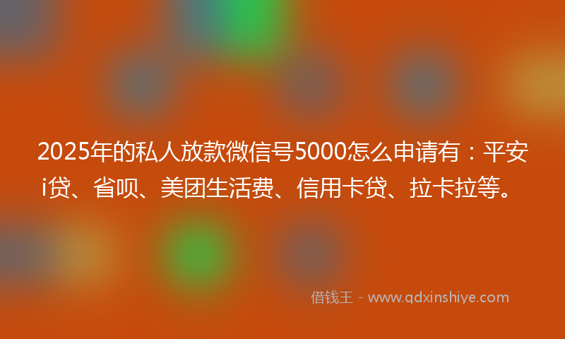 2025年的私人放款微信号5000怎么申请有：平安i贷、省呗、美团生活费、信用卡贷、拉卡拉等。