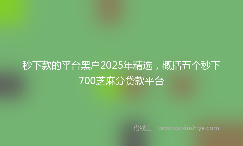 秒下款的平台黑户2025年精选，概括五个秒下700芝麻分贷款平台