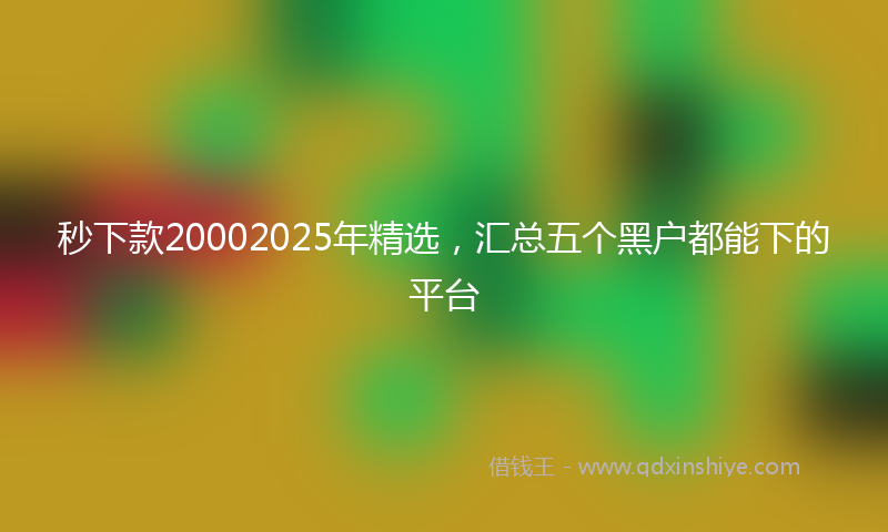 秒下款20002025年精选，汇总五个黑户都能下的平台