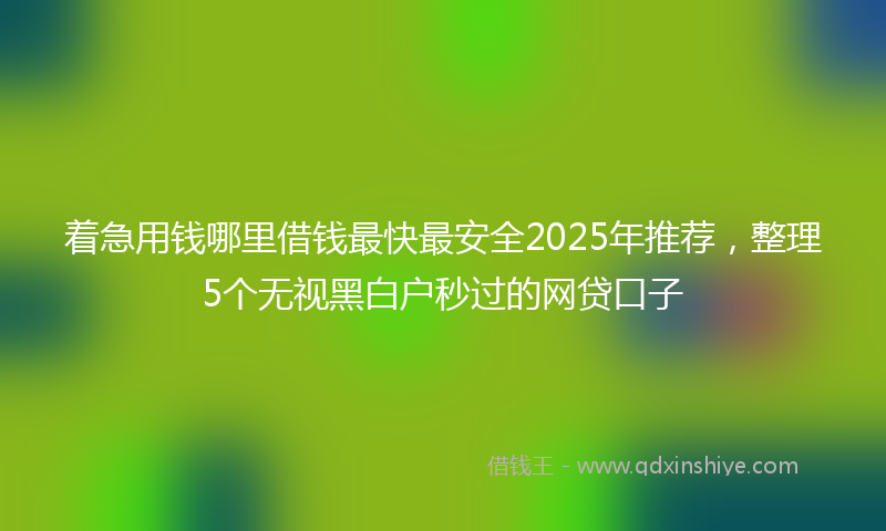 着急用钱哪里借钱最快最安全2025年推荐，整理5个无视黑白户秒过的网贷口子