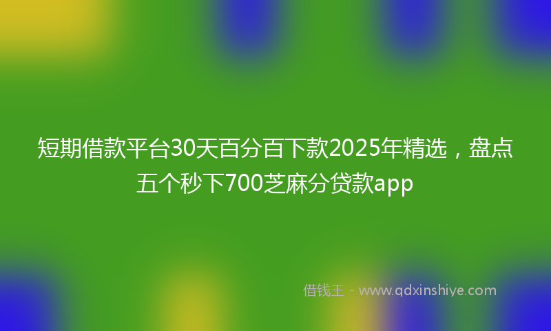 短期借款平台30天百分百下款2025年精选,盘点五个秒下700芝麻分贷款app