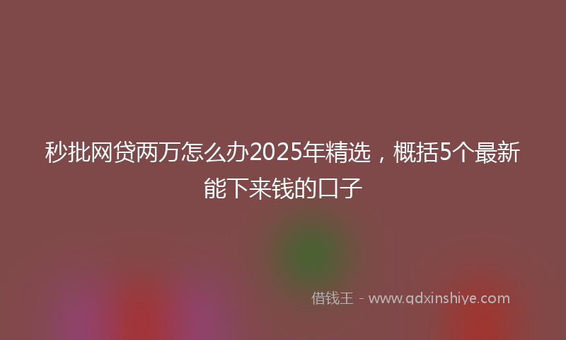 秒批网贷两万怎么办2025年精选，概括5个最新能下来钱的口子